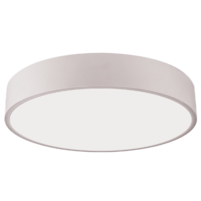 Ceiling Lamp 40W 220-240V AC
