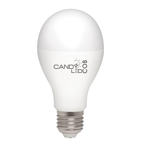 LAMPE LED CANDYLED 12W E27