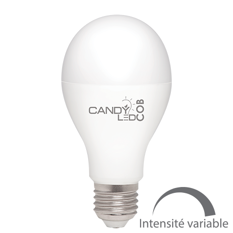 Lampe 12W 220-240V AC COB E27